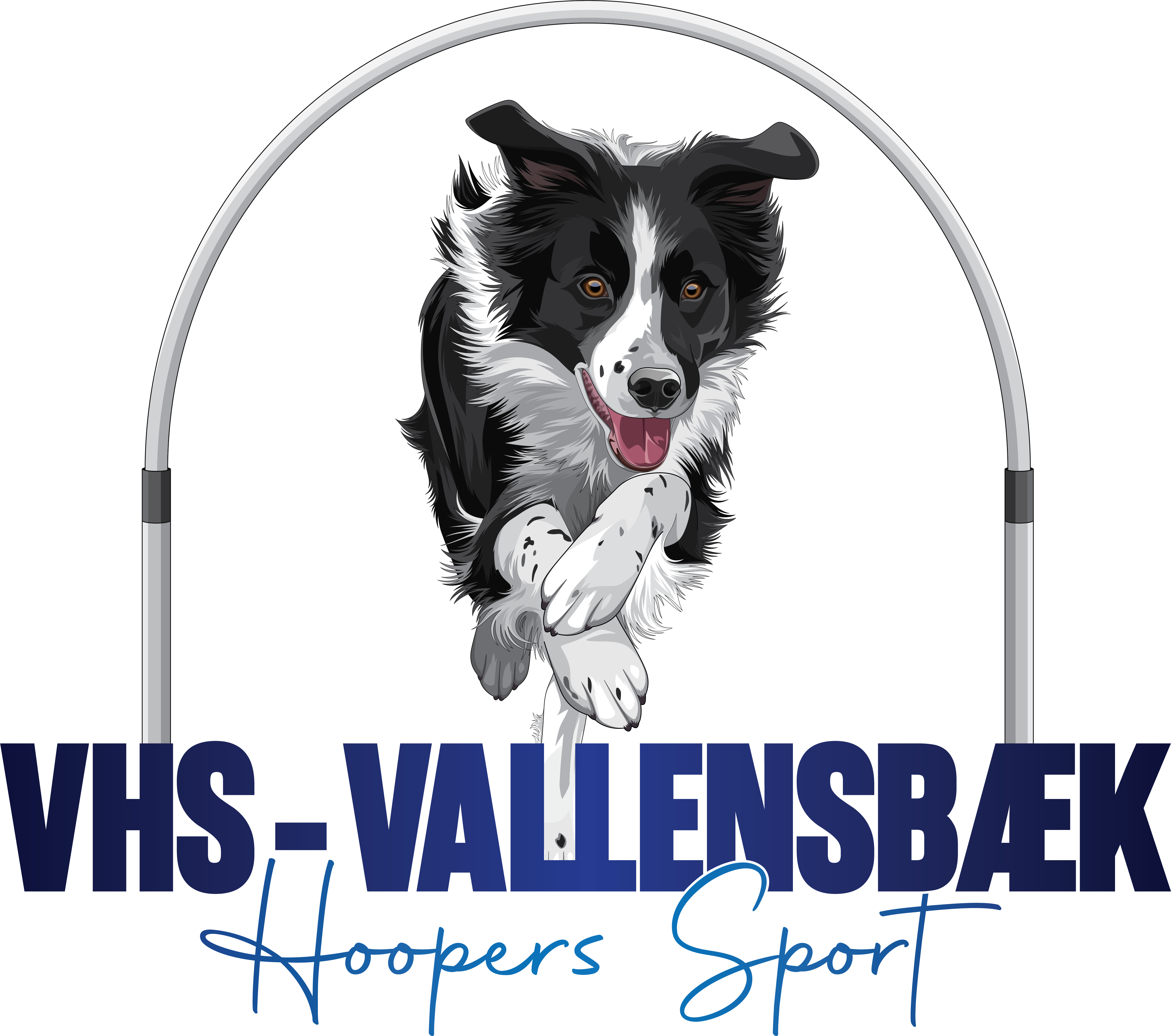Vallensbæk Hoopers Sport logo